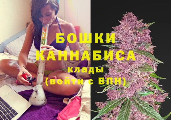 ГАЛЛЮЦИНОГЕННЫЕ ГРИБЫ Дмитровск